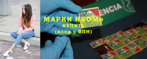 гидра Богородицк