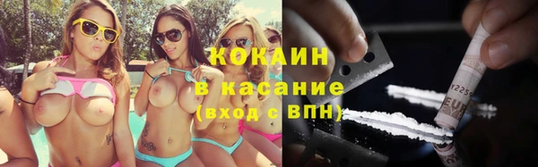 шишки Балабаново