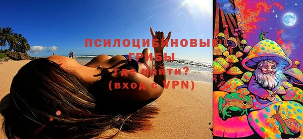 шишки Балабаново