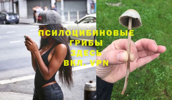 прущие крисы Балахна