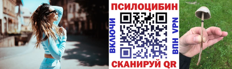 darknet Telegram hydra Галлюциногенные грибы GOLDEN TEACHER Великий Устюг наркотики